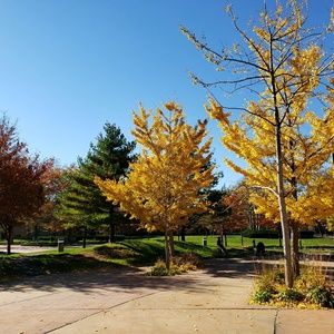 Meet your Posher, Cathy